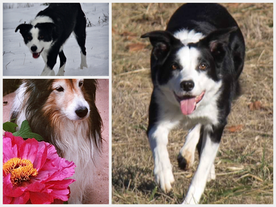 IMG_4391.png IMG_4391.png