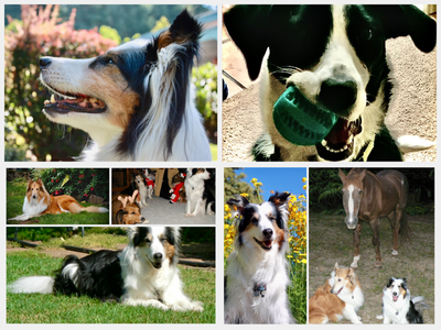 IMG_4394.png IMG_4394.png