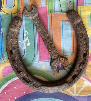 IMG_1085.jpeg IMG_1085.jpeg