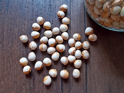 Gold und Silber 2023.jpg Gold und Silber 2023.jpg