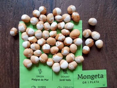 Or i Plata.jpg Or i Plata.jpg