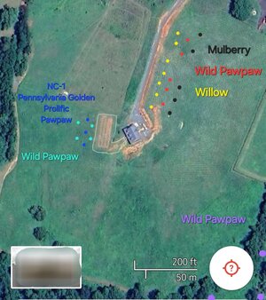 20241014_174530.jpg 20241014_174530.jpg