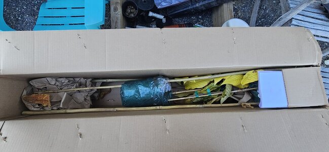 20241021_141716.jpg 20241021_141716.jpg