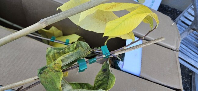 20241021_141737.jpg 20241021_141737.jpg