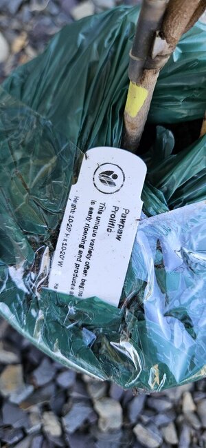 20241021_141923.jpg 20241021_141923.jpg