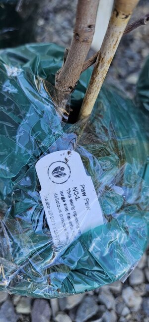 20241021_141926.jpg 20241021_141926.jpg