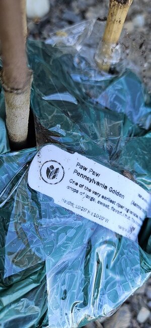 20241021_141928.jpg 20241021_141928.jpg