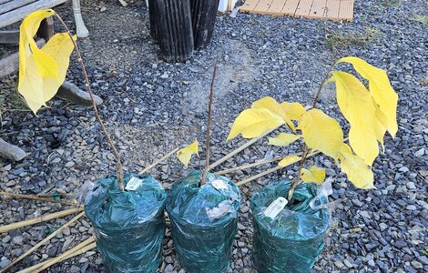 20241021_142322.jpg 20241021_142322.jpg