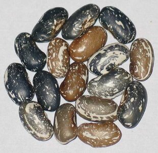 Osborne And Clyde.jpg Osborne And Clyde.jpg