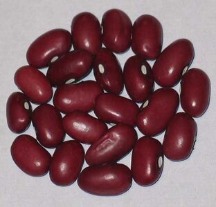 Small Red.jpg