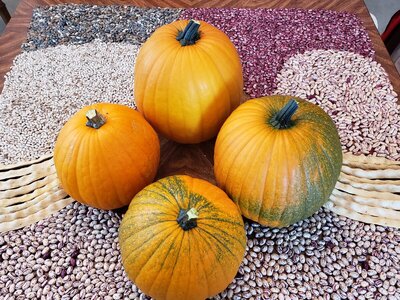 PUMPKINS 5.jpg PUMPKINS 5.jpg