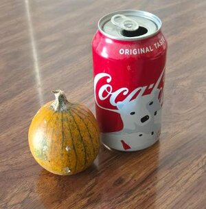 PUMPKINS 7 Smallest.jpg PUMPKINS 7 Smallest.jpg