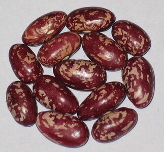 Jesse Fiske.jpg Jesse Fiske.jpg