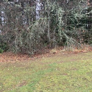 IMG_6418.jpeg IMG_6418.jpeg