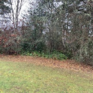 IMG_6420.jpeg IMG_6420.jpeg