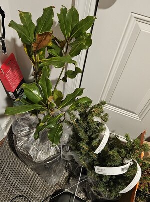 20241230_171058.jpg 20241230_171058.jpg