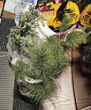 20241230_171056.jpg 20241230_171056.jpg