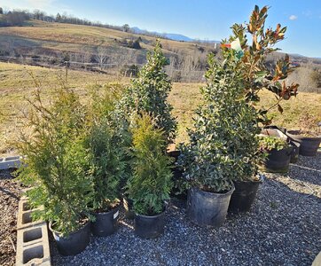 20241230_155059.jpg 20241230_155059.jpg