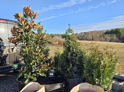 20241230_155030.jpg 20241230_155030.jpg