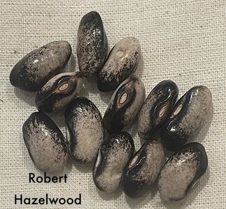 IMG_0023.jpeg IMG_0023.jpeg