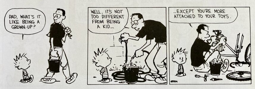 IMG_1155.jpeg IMG_1155.jpeg