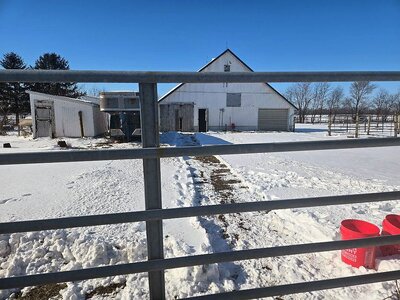 January 2025 snowstorm aftermath #7.jpg