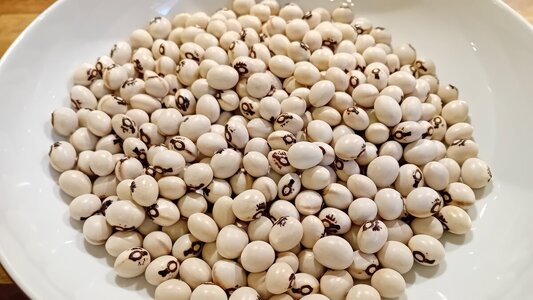 angel_bow;.jpg angel_bow;.jpg