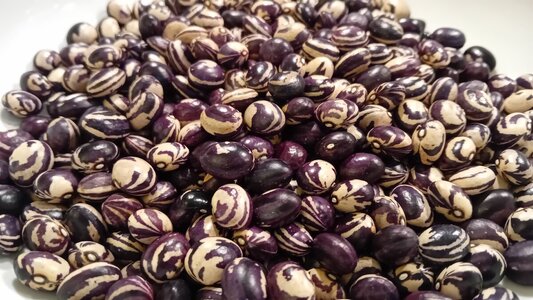 coreedesang_bowl.jpg coreedesang_bowl.jpg