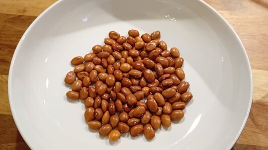 fgg1_bowl.jpg fgg1_bowl.jpg