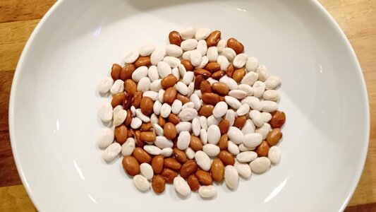 fgg6_bowl.jpg fgg6_bowl.jpg