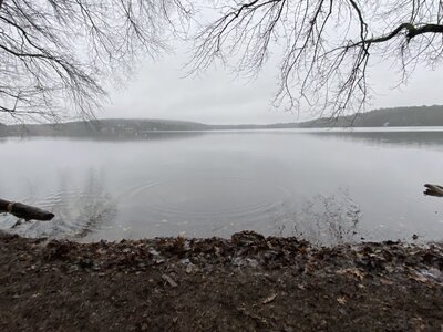 IMG_2157.jpeg