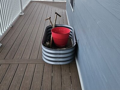 20250118_075222.jpg 20250118_075222.jpg