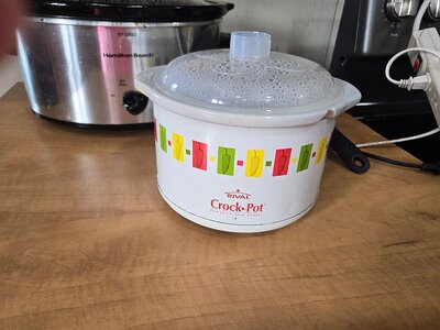 Rival Crock pot, pre millenial, 01-19-25.jpg