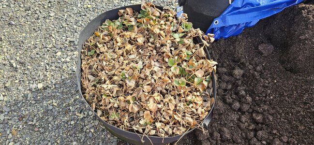 20250207_103051.jpg 20250207_103051.jpg