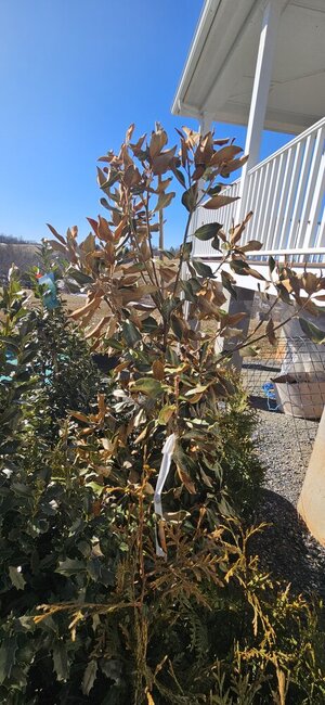 20250129_135748.jpg 20250129_135748.jpg