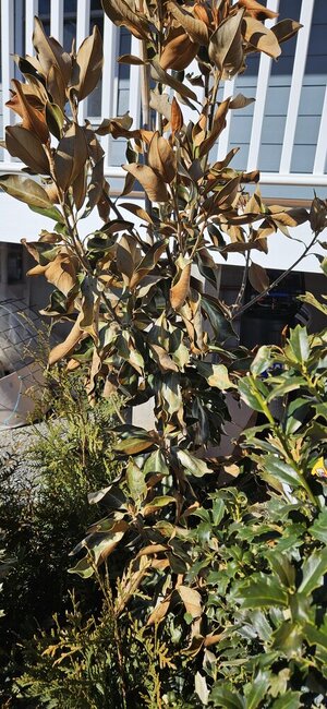 20250129_135717.jpg 20250129_135717.jpg