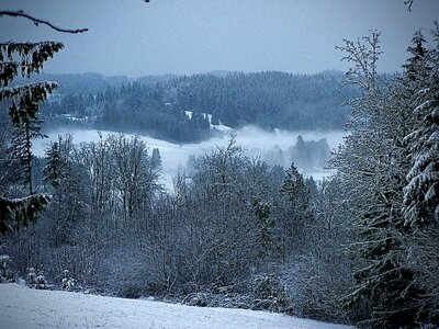 P1040204.jpeg P1040204.jpeg