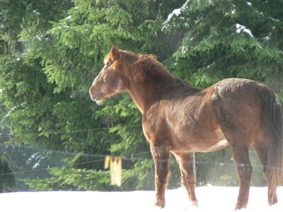 P1040241.jpeg P1040241.jpeg