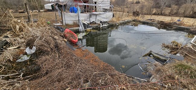 20250227_121227.jpg 20250227_121227.jpg