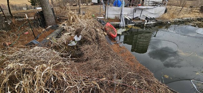 20250227_121225.jpg 20250227_121225.jpg