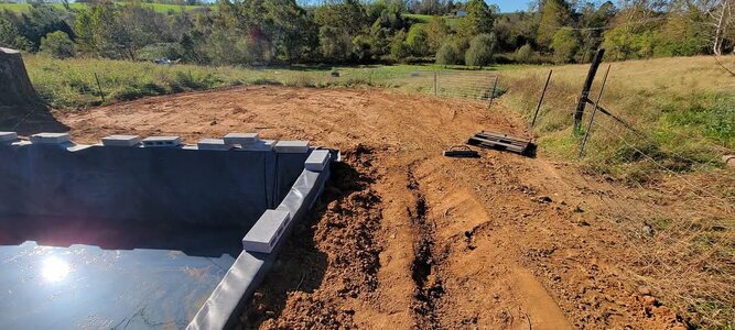 FB_IMG_1740840215696.jpg FB_IMG_1740840215696.jpg