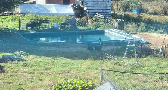 FB_IMG_1740840242005.jpg FB_IMG_1740840242005.jpg