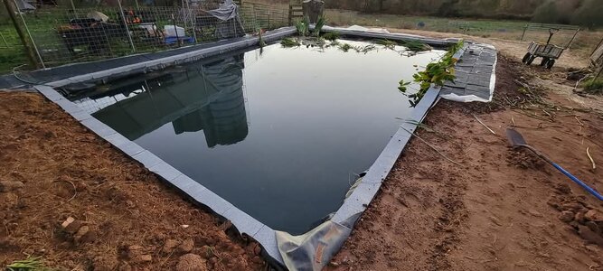 FB_IMG_1740840247648.jpg FB_IMG_1740840247648.jpg