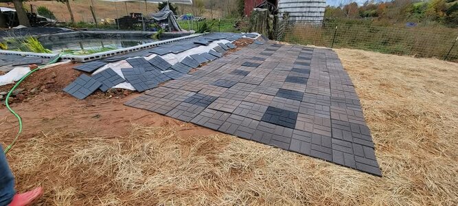 FB_IMG_1740840269478.jpg FB_IMG_1740840269478.jpg