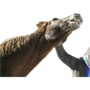 1741198569182.png 1741198569182.png