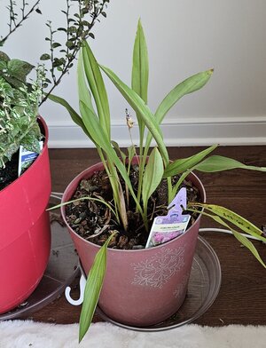 20250314_150557.jpg 20250314_150557.jpg