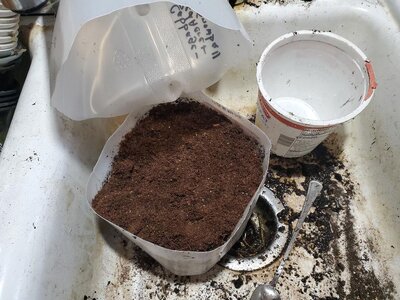 Winter jug sowing procedure, 03-13-25, #5.jpg