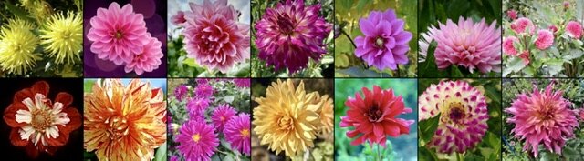 IMG_3030.jpeg