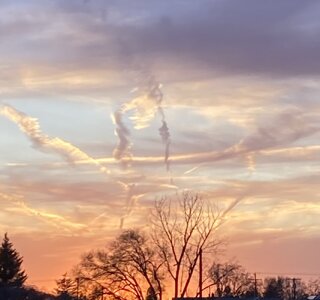 IMG_1203.jpeg