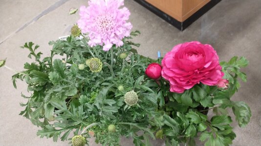 IMG_20250327_120527901.jpg